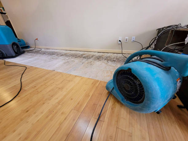 Professional Basement Flood Cleanup technician working in Picacho, AZ